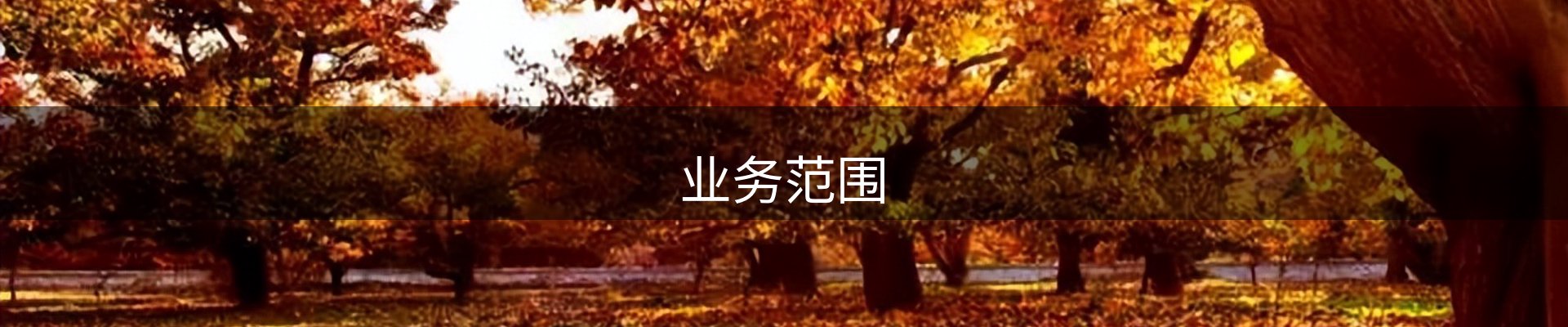 业务范围