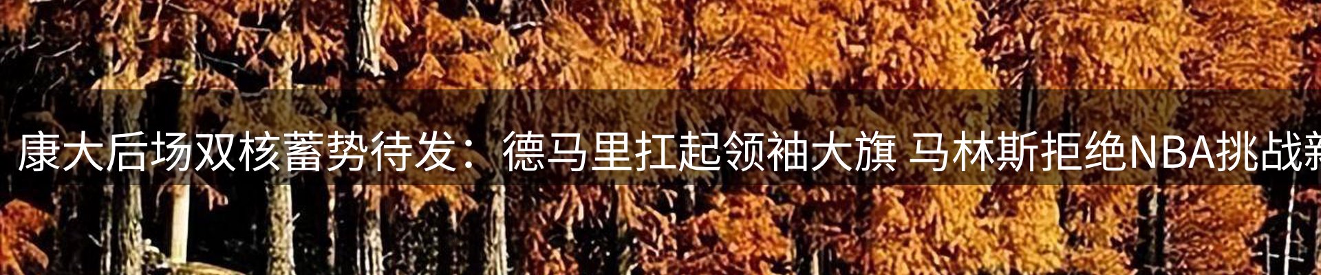 新闻中心