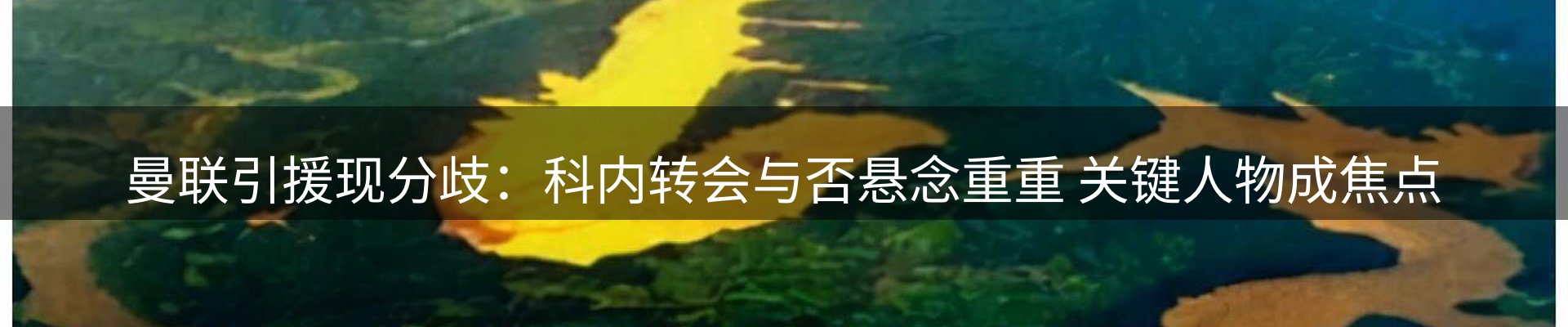 新闻中心