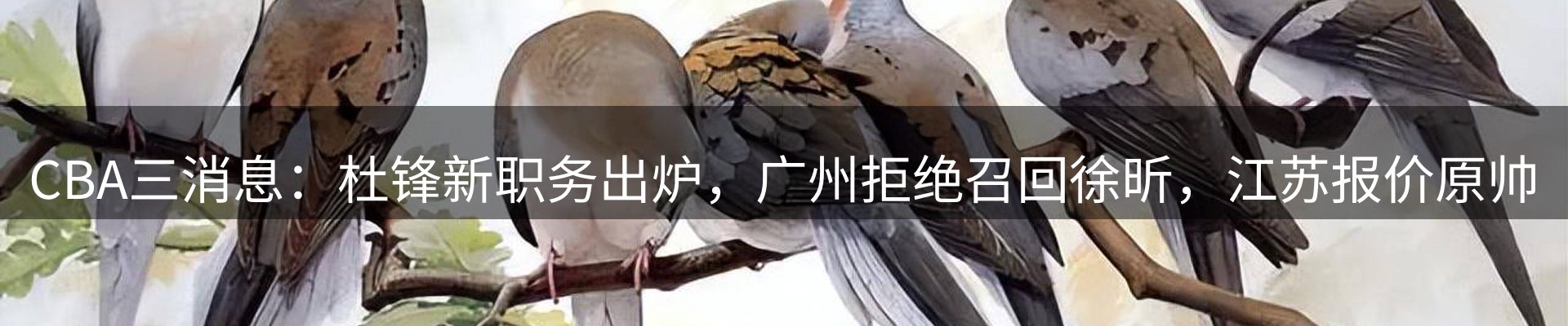 新闻中心